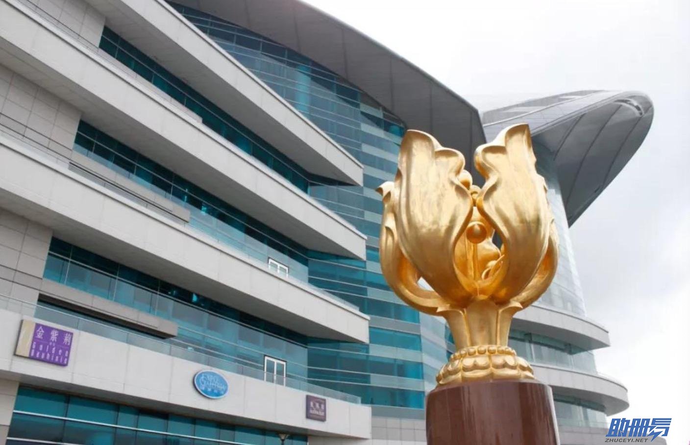 香港公司年審如何申請延期