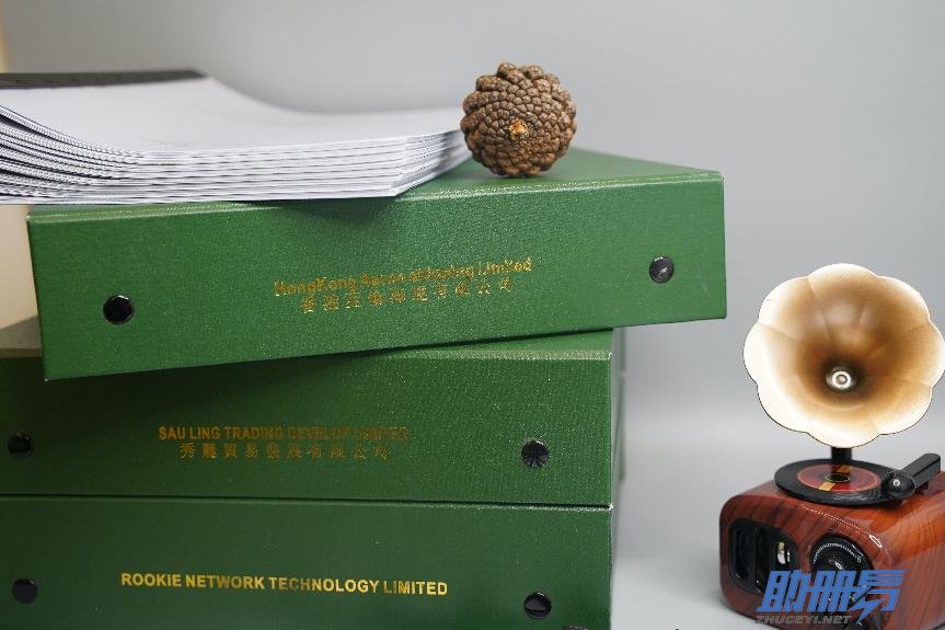 從準(zhǔn)備到提交，詳析香港公司年審全流程！