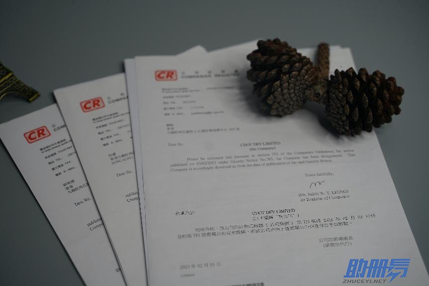 2024香港公司年審所需資料、年審內(nèi)容及逾期后果！