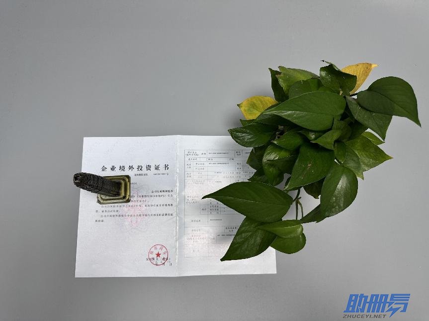 學(xué)會(huì)這3招，保你找到滿(mǎn)意的香港秘書(shū)公司！